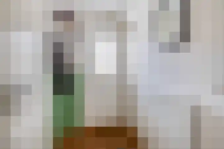 Brahmsstraat 56 Capelle aan den IJssel thumbnail 12