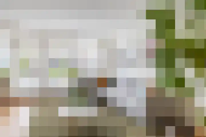 Brahmsstraat 56 Capelle aan den IJssel thumbnail 16