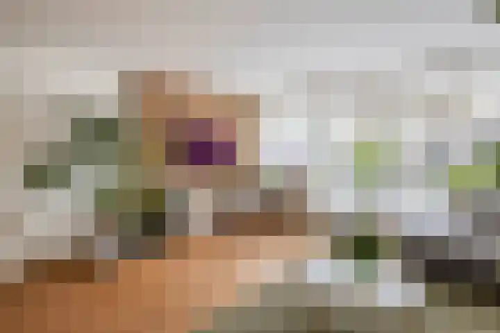 Brahmsstraat 56 Capelle aan den IJssel thumbnail 17