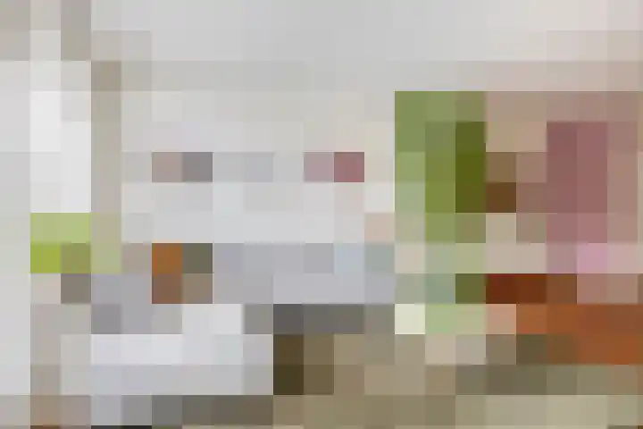 Brahmsstraat 56 Capelle aan den IJssel thumbnail 19