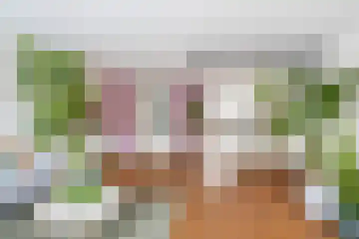 Brahmsstraat 56 Capelle aan den IJssel thumbnail 20