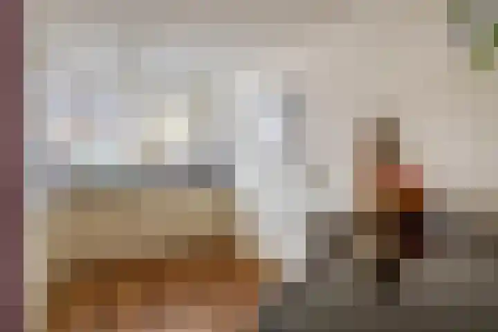 Brahmsstraat 56 Capelle aan den IJssel thumbnail 23