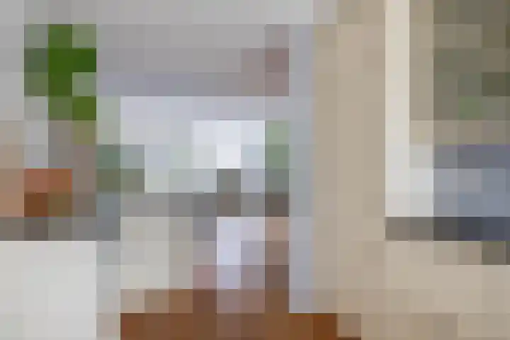 Brahmsstraat 56 Capelle aan den IJssel thumbnail 27