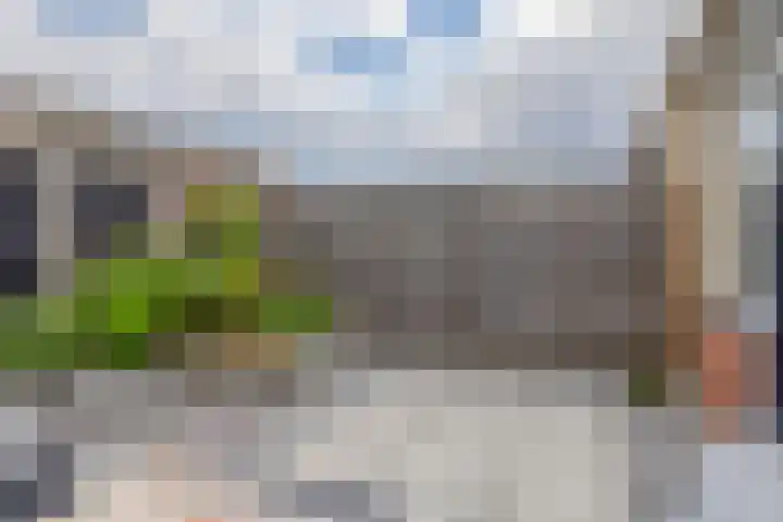 Brahmsstraat 56 Capelle aan den IJssel thumbnail 30