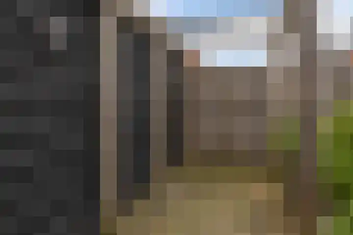 Brahmsstraat 56 Capelle aan den IJssel thumbnail 34