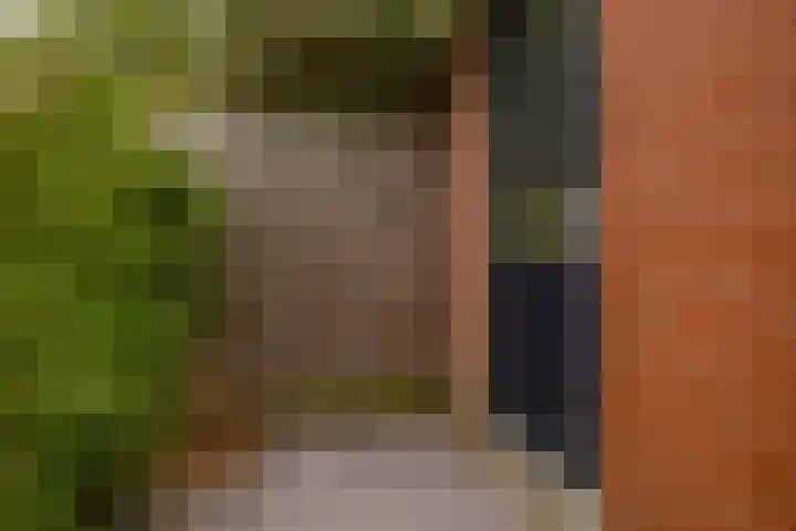 Brahmsstraat 56 Capelle aan den IJssel thumbnail 35