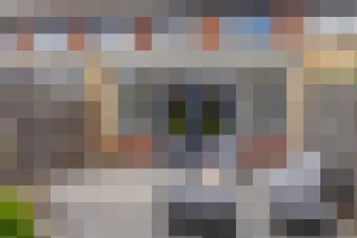 Brahmsstraat 56 Capelle aan den IJssel thumbnail 36