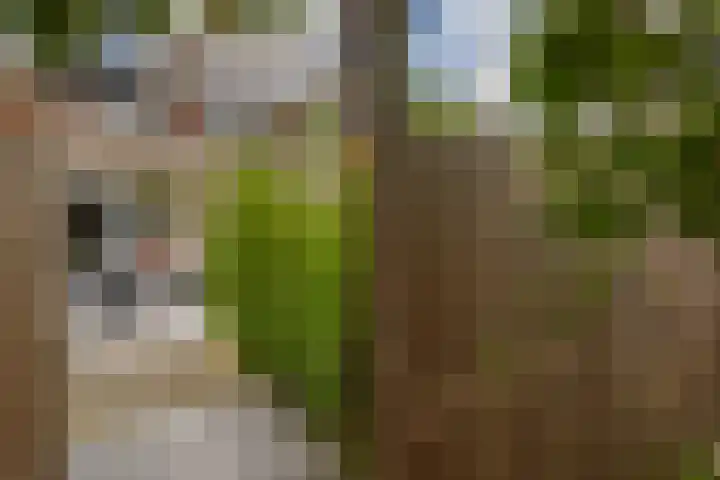 Brahmsstraat 56 Capelle aan den IJssel thumbnail 37