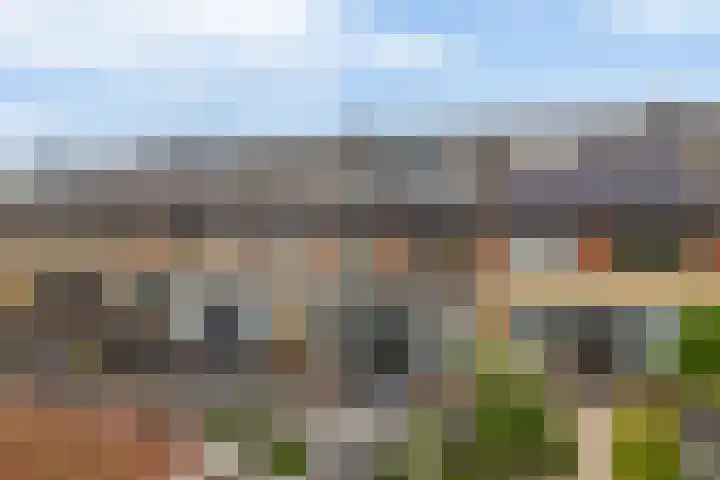 Brahmsstraat 56 Capelle aan den IJssel thumbnail 38