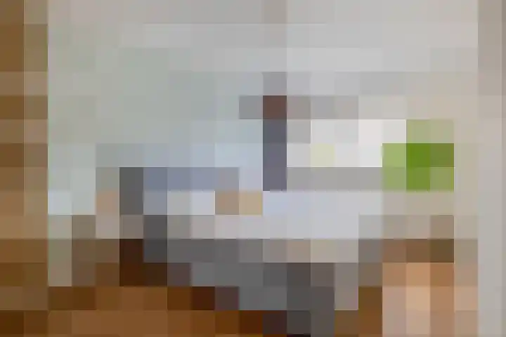 Brahmsstraat 56 Capelle aan den IJssel thumbnail 39