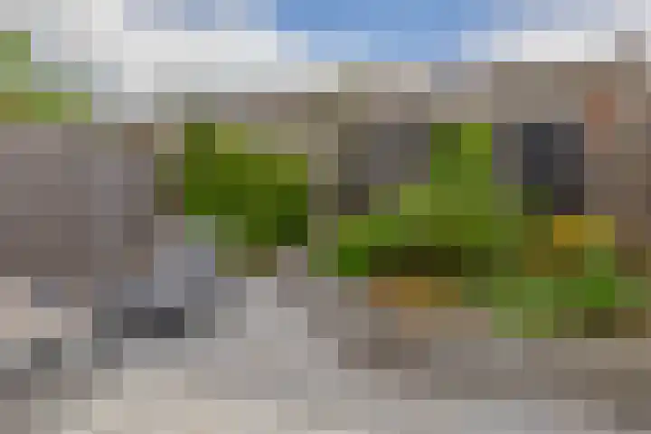 Brahmsstraat 56 Capelle aan den IJssel thumbnail 4