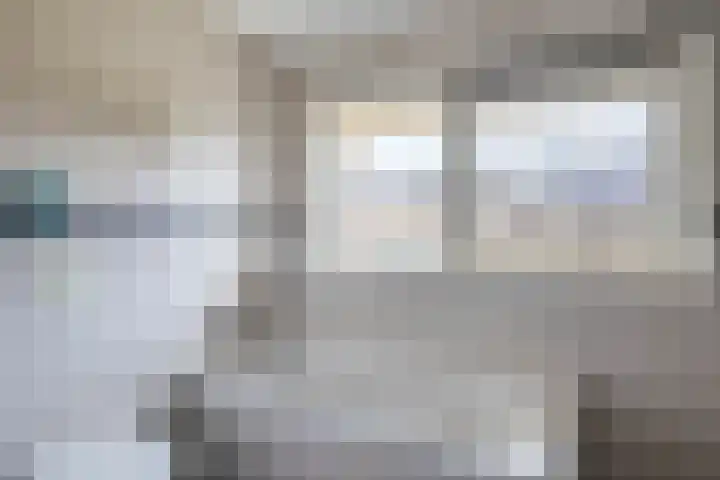 Brahmsstraat 56 Capelle aan den IJssel thumbnail 43