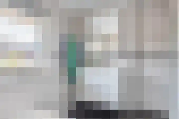 Brahmsstraat 56 Capelle aan den IJssel thumbnail 46