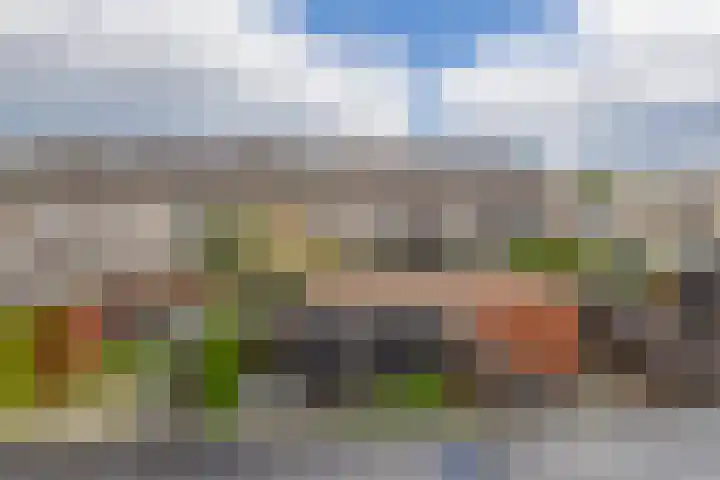 Brahmsstraat 56 Capelle aan den IJssel thumbnail 47