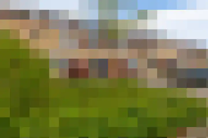 Brahmsstraat 56 Capelle aan den IJssel thumbnail 5