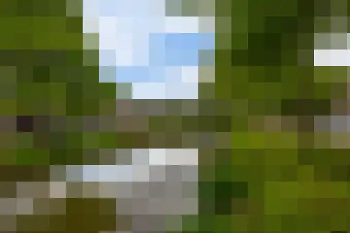 Brahmsstraat 56 Capelle aan den IJssel thumbnail 54