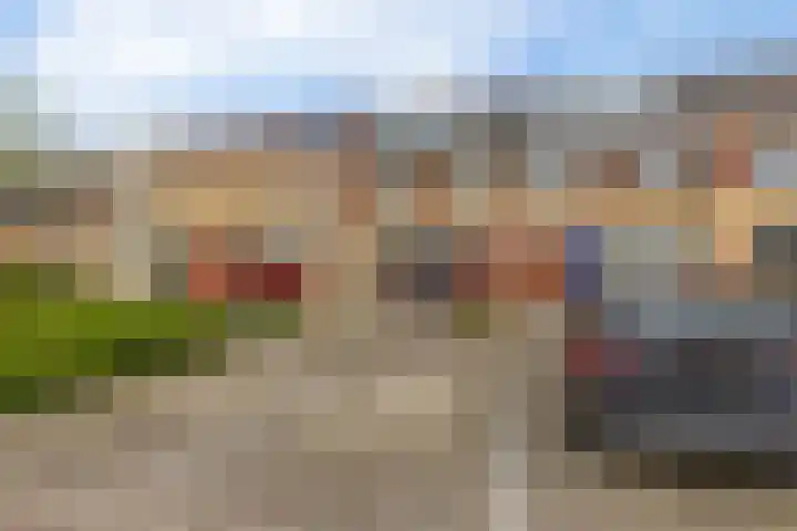 Brahmsstraat 56 Capelle aan den IJssel thumbnail 9