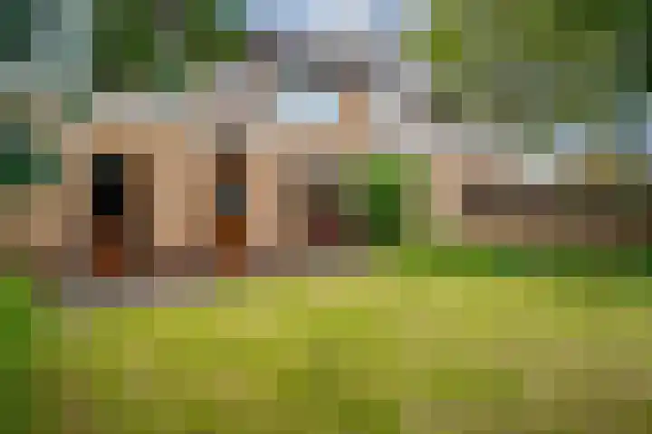 Brahmsstraat 6 Zevenaar thumbnail 4