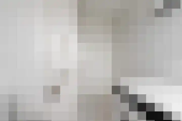 Brahmsstraat 62 Zevenaar thumbnail 33