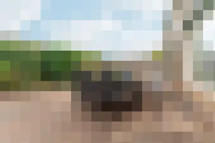 Brahmsstraat 62 Zevenaar thumbnail 38