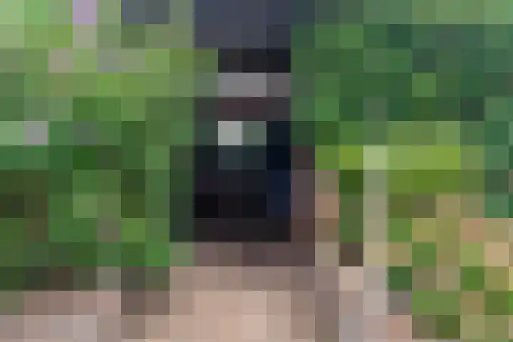 Brahmsstraat 62 Zevenaar thumbnail 41