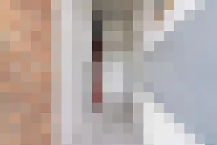 Brahmsstraat 62 Zevenaar thumbnail 7