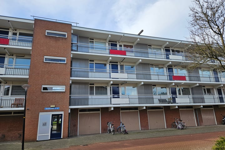 Brahmsstraat 65 in Zutphen Foto