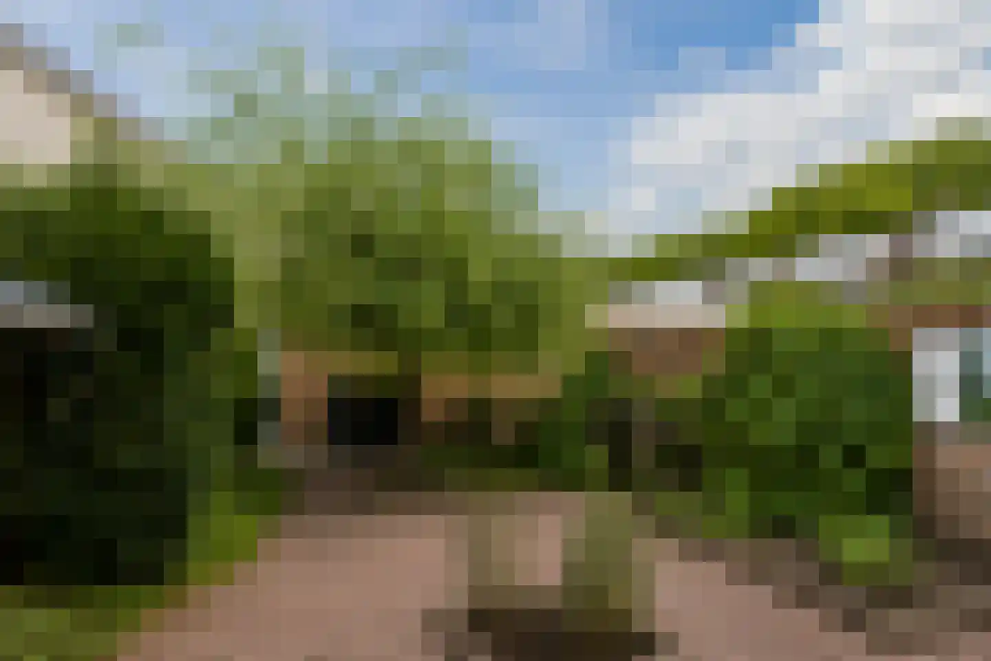 Brahmsstraat 68 Tilburg thumbnail 23