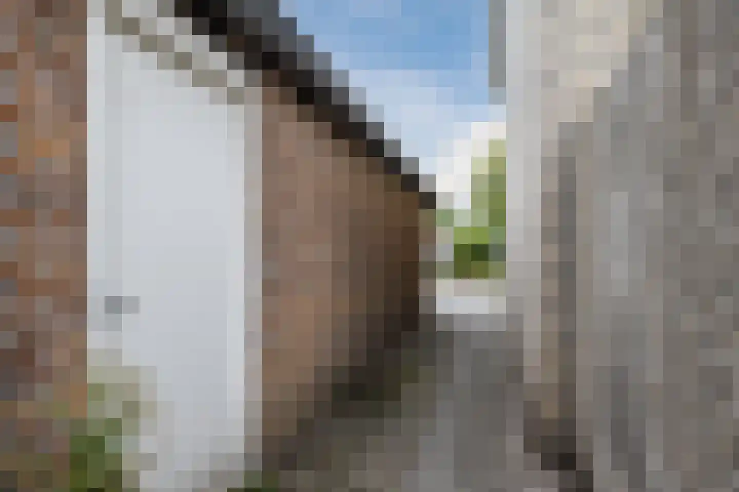 Brahmsstraat 68 Tilburg thumbnail 26