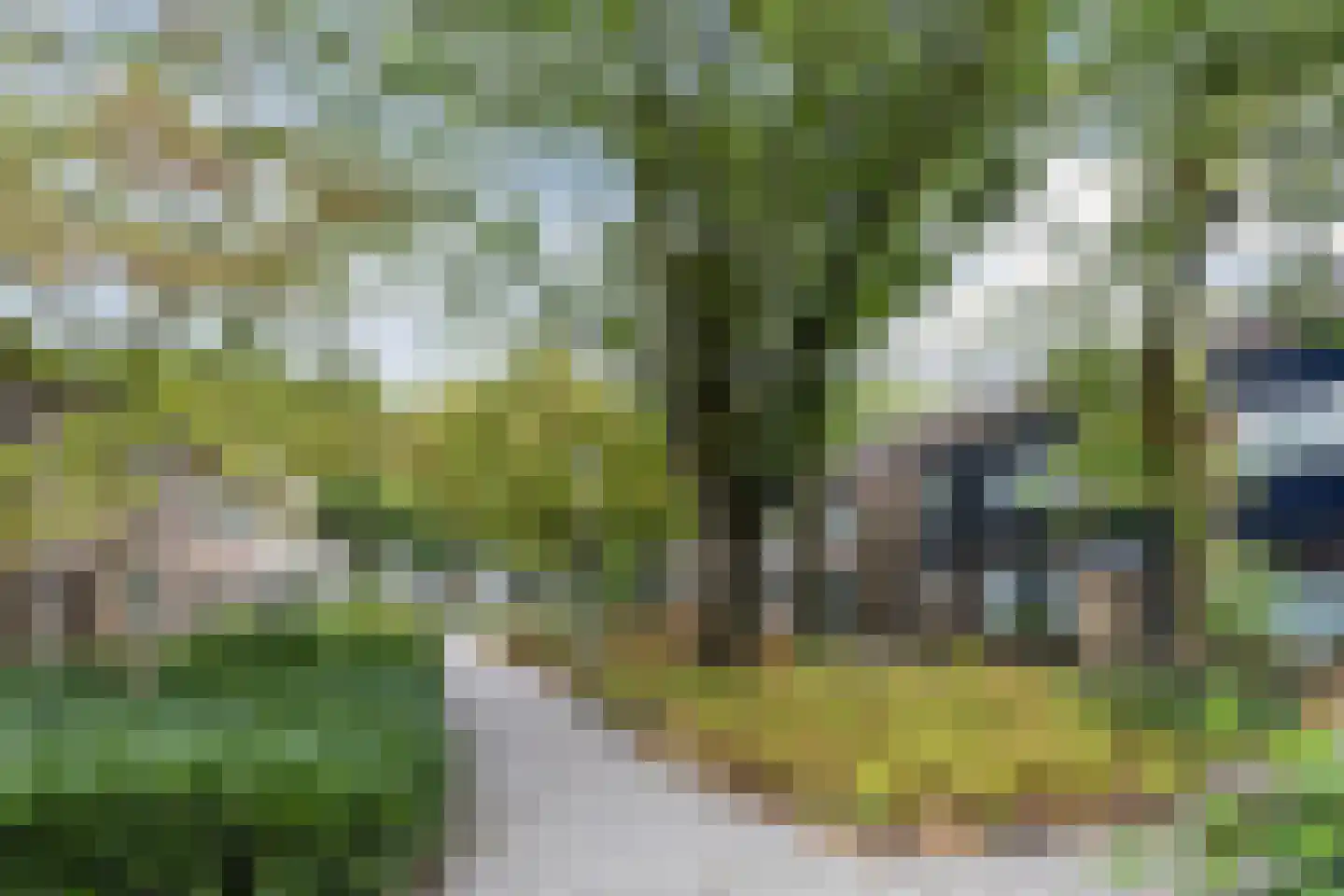 Brahmsstraat 68 Tilburg thumbnail 27