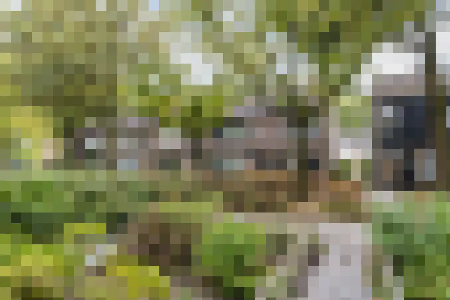 Brahmsstraat 68 Tilburg thumbnail 28