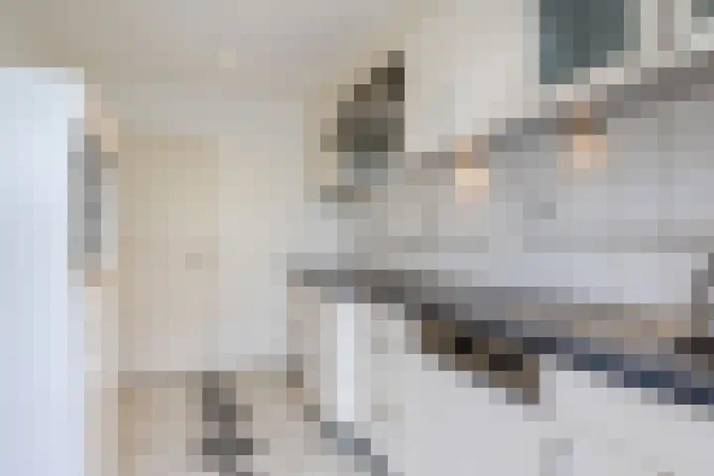 Brahmsstraat 68 Tilburg thumbnail 8