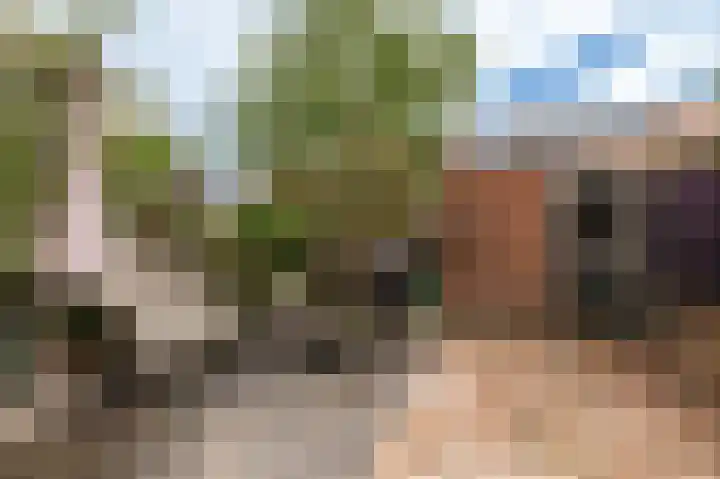 Brahmsstraat 7 Culemborg thumbnail 13