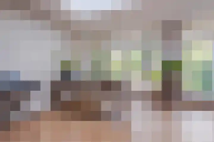 Brahmsstraat 7 Nijmegen thumbnail 21