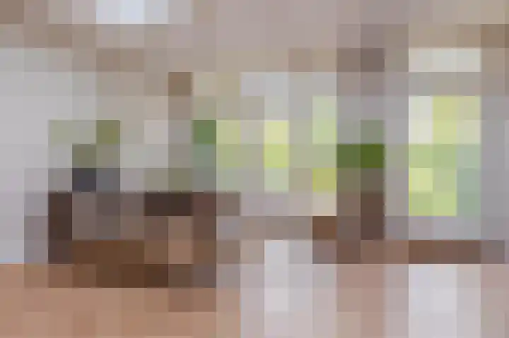 Brahmsstraat 7 Nijmegen thumbnail 22