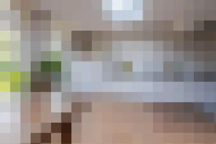 Brahmsstraat 7 Nijmegen thumbnail 23
