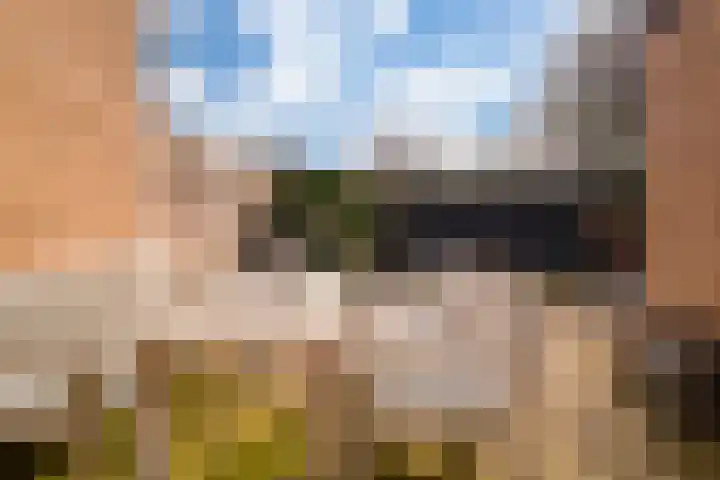 Brahmsstraat 9 Zevenaar thumbnail 21