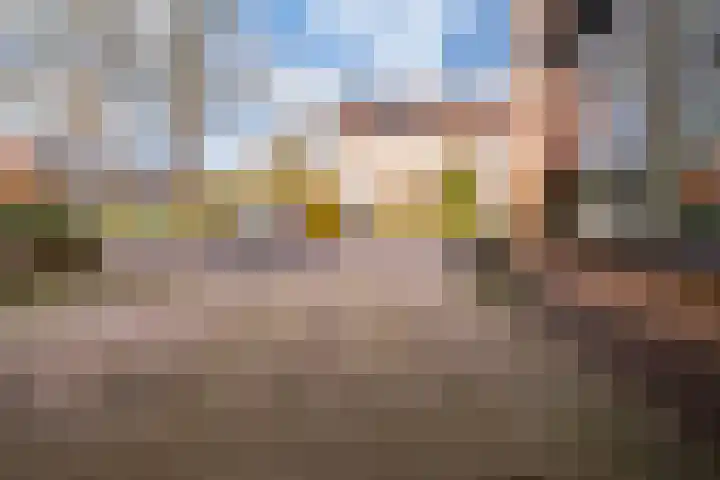Brahmsstraat 9 Zevenaar thumbnail 7