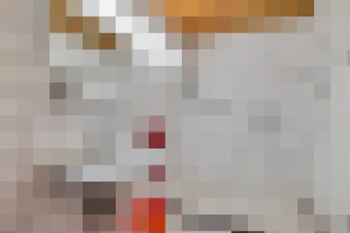 Brahmsweg 3 Eelde thumbnail 10