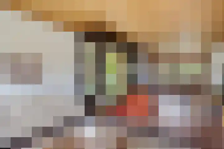 Brahmsweg 3 Eelde thumbnail 15
