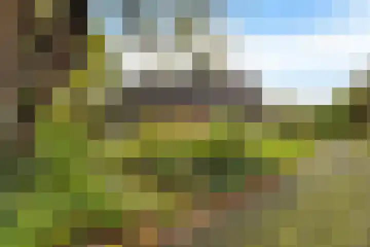 Brahmsweg 3 Eelde foto 2