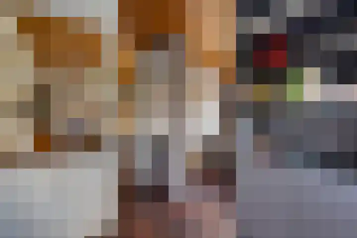 Brahmsweg 3 Eelde thumbnail 25