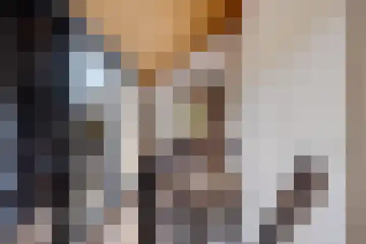 Brahmsweg 3 Eelde thumbnail 29