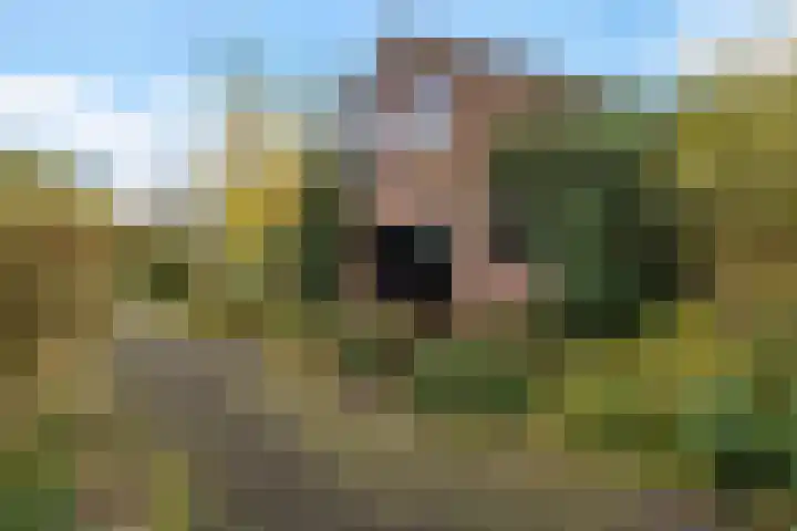 Brahmsweg 3 Eelde foto 3