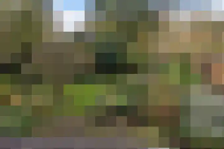 Brahmsweg 3 Eelde thumbnail 31