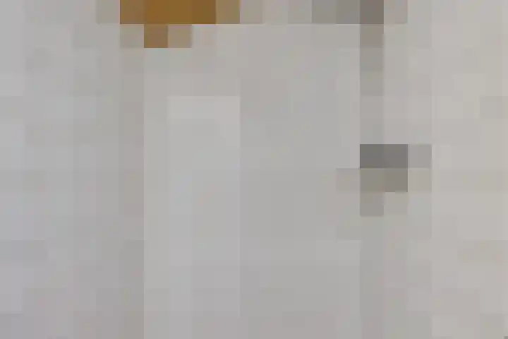 Brahmsweg 3 Eelde thumbnail 39