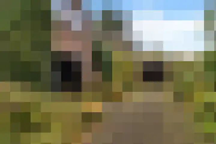Brahmsweg 3 Eelde thumbnail 4