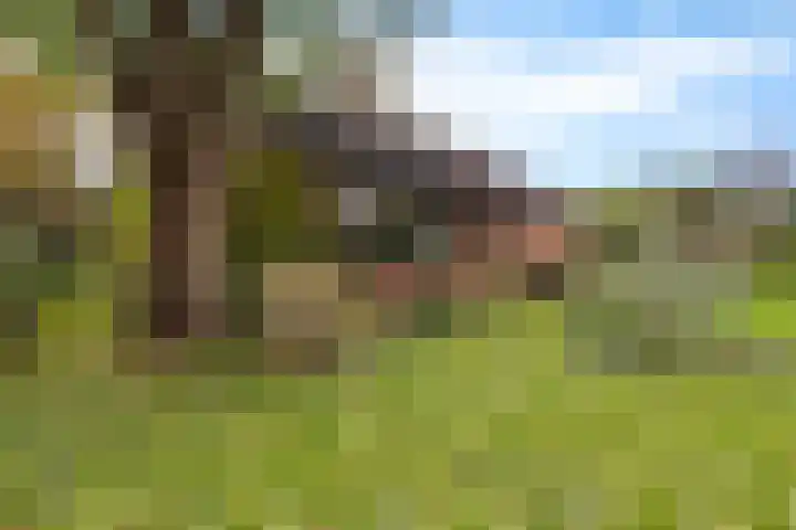 Brahmsweg 3 Eelde thumbnail 40
