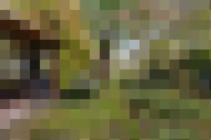 Brahmsweg 3 Eelde thumbnail 41