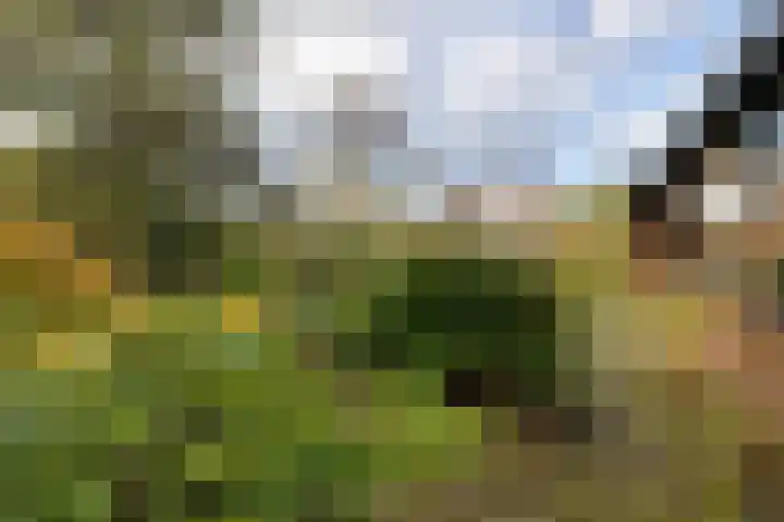 Brahmsweg 3 Eelde thumbnail 42